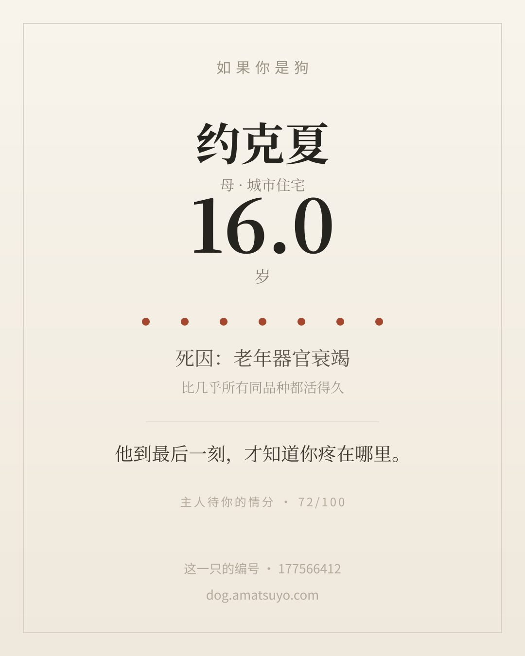 分享卡