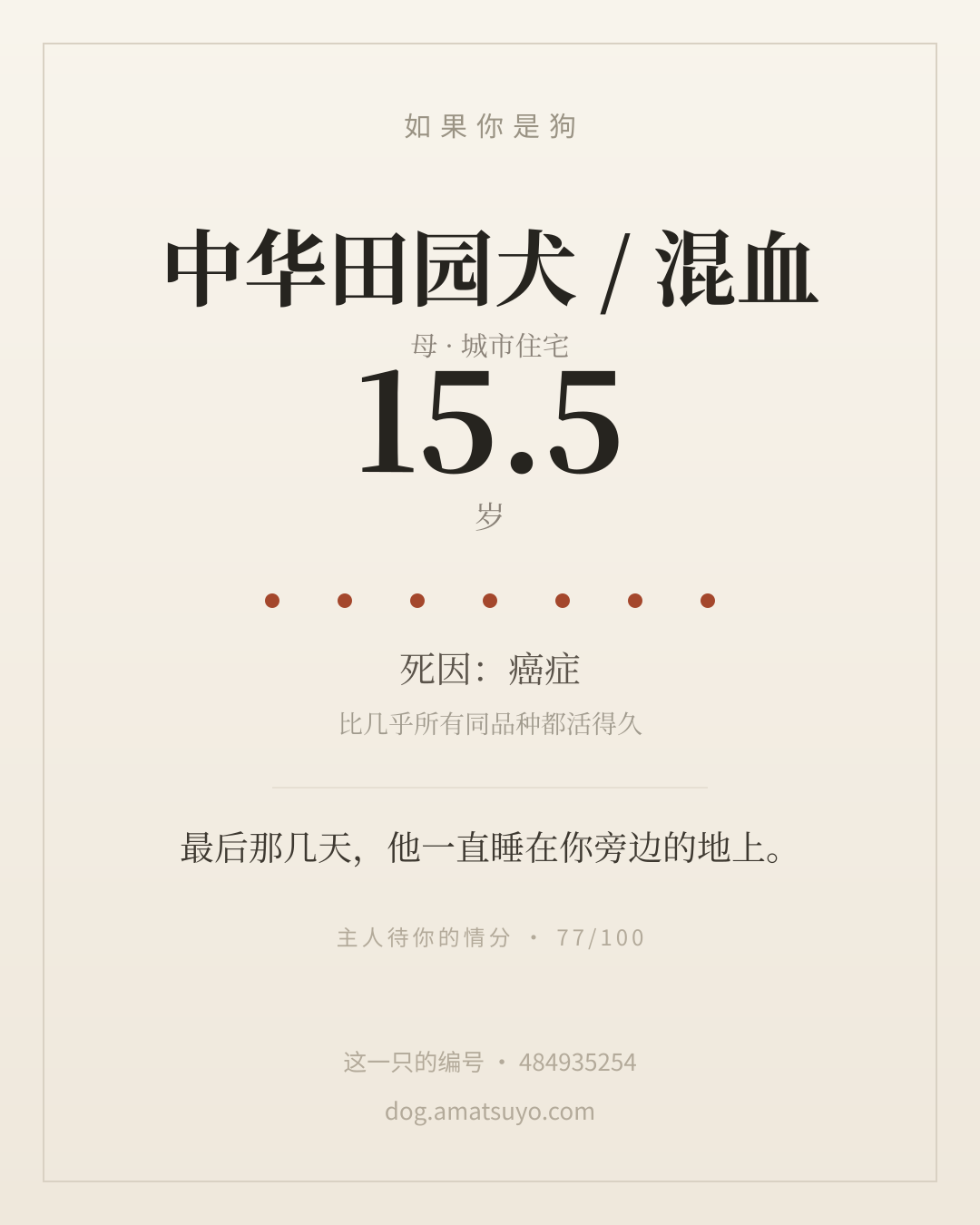 分享卡